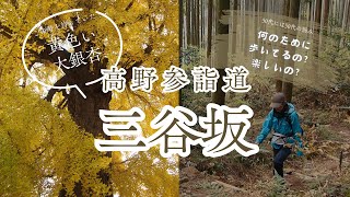 【50代のソロさんぽ】初心者に超おすすめの高野参詣道・三谷坂を歩きながら…この年ならではの思いを吐露