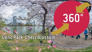 360度 VR 動画 【上野公園の桜のお花見スポット 2024】- 360 Video Ueno Park’s Cherry Blossom Spots 2024 - Japan Trip