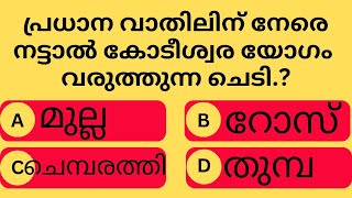 പ്രധാന വാതിലിൻ നേരെ ഈ ചെടി നട്ടാൽ... ദരിദ്രൻ ധനവാൻ ആകും..!psc/gk/Malayalam