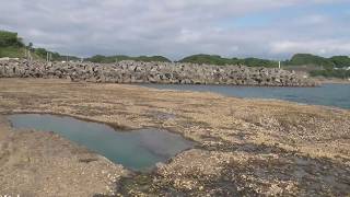 夏はほんまもんの海がある和歌山南紀で磯遊びしよう！