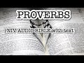 PROVERBS(NIV AUDIO BIBLE with text)