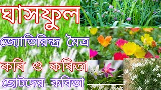 আমরা ঘাসের ;ছোট ছোট ফুল; কবিতা; জ্যোতিরিন্দ্র _মৈত্র;ঘাস_ফুল;