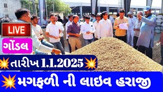 1 January 2025 / મગફળી ના ભાવ આજનો / ગોંડલ મગફળી ના બજાર ભાવ /ગોંડલ માર્કેટીંગ યાર્ડના મગફળીના બજાર