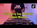 DJ TANG TING TUNG X GARA GARA SEBOTOL MINUMAN FULL BASS