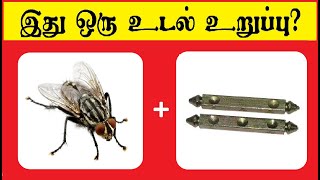 Guess the Body Part quiz 2 | Brain games in Tamil | Tamil quiz | Puzzles | Riddles | Timepass Colony