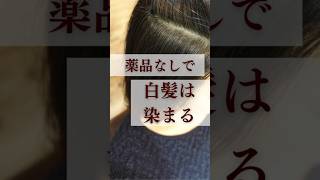 【ヘアカラーがピリピリ、かゆい、体に合わない人でも染めれる】#化学物質過敏症 #白髪対策 #オーガニックカラー #ヘナ #ヘナ白髪染め #ヘナカラー #ヘナトリートメント  #抜け毛 #hair