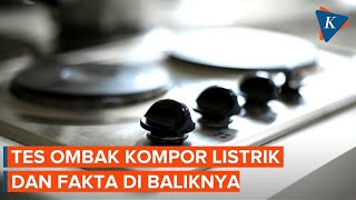 5 Fakta Rencana Konversi Kompor Listrik