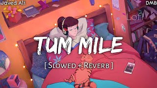 Tum Mile [Slowed+Reverb] - Javed Ali • Lofi Sad Songs • DM Lofi