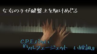 C.P.E.バッハ『ソルフェージェット　ハ短調』/ C.P.E.Bach “Solfeggietto c-moll”