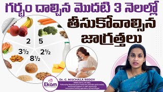 గర్భదారణలో మొదటి మూడు నెలలో || Best Diet for Pregnant in First 3 Months || Ekam Fertility \u0026 Women