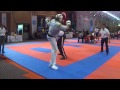 John Barbetta v Gerald Zimmermann WAKO World Championships 2013