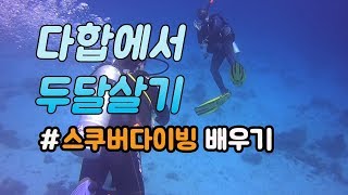 🇪🇬이집트 다합에서 두달살기/스쿠버다이빙 어드벤스자격증에 도전하다!!/오르카 다이빙샵 강추//세계일주#28