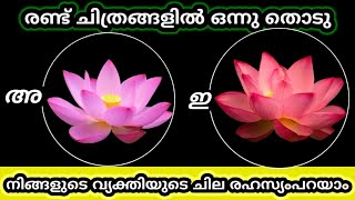 ഒരു ചിത്രം തിരഞ്ഞെടുക്കുക നിങ്ങളുടെ ഇഷ്ട വ്യക്തിയുടെ ചില രഹസ്യങ്ങൾ അറിയാം💫💫