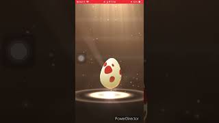 ［Pokémon Go] 孵蛋EP13 小號們5顆12公里蛋一起孵 #時時刻刻冒險 #為什麼禿鷹丫頭還在