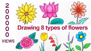 Drawing 8 types of Flowers | How to draw flowers in simple steps | How to draw lavender