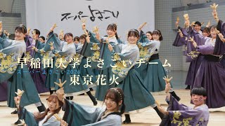 早稲田大学よさこいチーム　東京花火　原宿スーパーよさこい2024　２日目　代々木公園ステージ　8月25日（日）