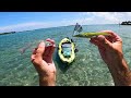 Clear Water Flats Sight Fishing With LIVE BAIT and Topwater - Big Fish!