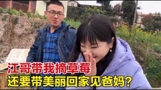 【杨美丽流浪记】江哥带美丽摘草莓，对我像女儿一样好，我要不要跟他回家见爸妈？