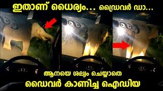 ധൈര്യം എന്നൊക്കെ പറഞ്ഞാൽ ഇതാണ്...ആനയെ ശല്യം ചെയ്യാതെ ഡ്രൈവറുടെ ഐഡിയ