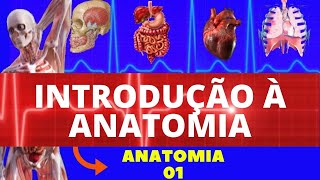 INTRODUÇÃO À ANATOMIA (POSIÇÃO, PLANOS, QUADRANTES E EIXOS ANATOMICOS) | FACILITANDO A MEDICINA