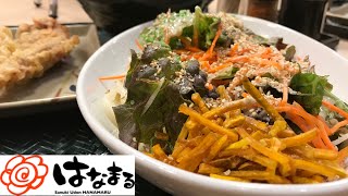 【⚠️音楽】【うどん】サラダうどんとゲソ天が大好きなんです‼️【MAX鈴木】【マックス鈴木】