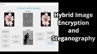 Hybrid image Encryption and Steganography