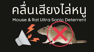 mouse \u0026 rat ultrasonic deterrent, repellent sound, rat repellent sound 1 hour