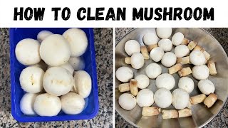 How to clean mushroom | കൂൺ ക്ലീൻ ചെയ്യുന്നതെങ്ങനെ #shorts #youtubeshorts