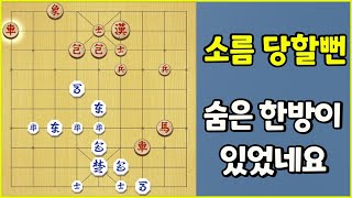 소름..공격했으면 오히려 내가 당했겠구나 (슈이비닝 장기)