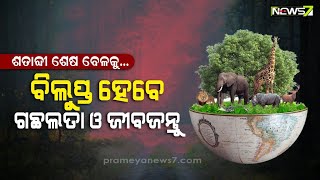 ଜାତିସଂଘ ଜୈବ ବିବିଧତା ସମ୍ମିଳନୀରେ ବୈଜ୍ଞାନିକଙ୍କ ଚେତାବନୀ; ବିଲୁପ୍ତ ହେବେ ପ୍ରତି ୧୦ରୁ ଗୋଟିଏ ପ୍ରଜାତି