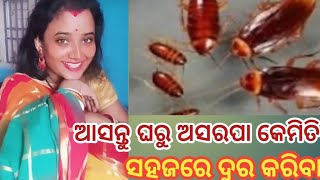 Home Remedies For Get Rid  To Cockroach {ଅସରପା ଦୁର କରିବାର ଘରୋଇ ଉପାୟ }@mikimituGK