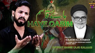 Haye Haye Qasim | Syed Qasim Abbas | 2022 | Moharram 1444 | Mola Qasim | The Vibrant Hussaini ©