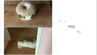 vlog| 일상 모음집. 수원 행궁동. 네일아트. 샌드위치 레시피. 요즘의추천들.