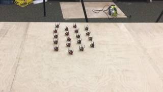 Boids Algorithm : Wind Experiment (Robotarium)