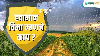 हवामान विमा म्हणजे काय? पूर्ण Video पाहा | What is Weather Insurance? Watch it till the end!