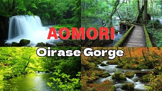 Oirase Gorge in Aomori - Japan, beautiful natural environment