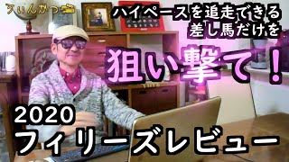 フィリーズレビュー2020　競馬予想　ハイペースを追走できる差し馬だけを狙い撃て！