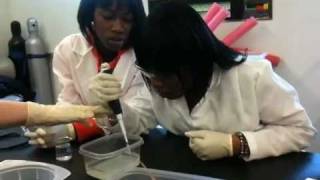 Contemporary Science Center students learn pipetting \u0026 gel loading