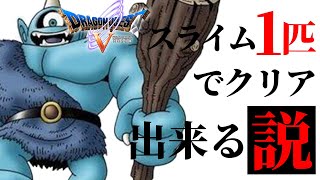 ドラクエ５ -スライム１匹でクリアできる説- #９【ドラゴンクエスト５】