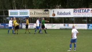 SDVB - DVS'33 samenvatting