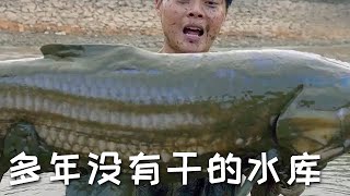 【戶外捕魚VLOG】花五千包下一口十多年沒有幹過的水庫，沒想到裏面竟然有好幾個百斤巨物...