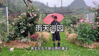 下雨天是真的有点无聊