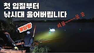 이 무식한걸 대체 어떻게 끄집어 내냐구#big fishing