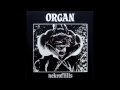 Organ - Organ (Molla Version) 1982