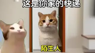 温馨提示:不要给陌生人乱开门猫meme 万万想不到 猫meme小剧场