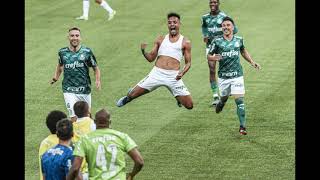 Palmeiras Tetra Campeão da Copa do Brasil 2020 -  Música Tema - Sou Verdão Tetra Campeão