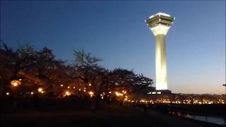 2019.5.4 桜満開中の函館五稜郭公園　夕景～夜桜