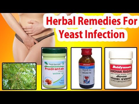 खमीर संक्रमण को रोकने के लिए आवश्यक जड़ी बूटियां। Herbal Remedies For Yeast Infection खमीर संक्रमण को रोकने के लिए आवश्यक जड़ी बूटियां। Herbal Remedies For Yeast Infection