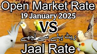 Birds price in karachi pakistan January 19, 2025 | Jaal rate update | Open market rate update