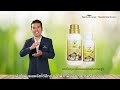 transform plus สูตร 2 by successmore 0637866369 คุณอ๋อม